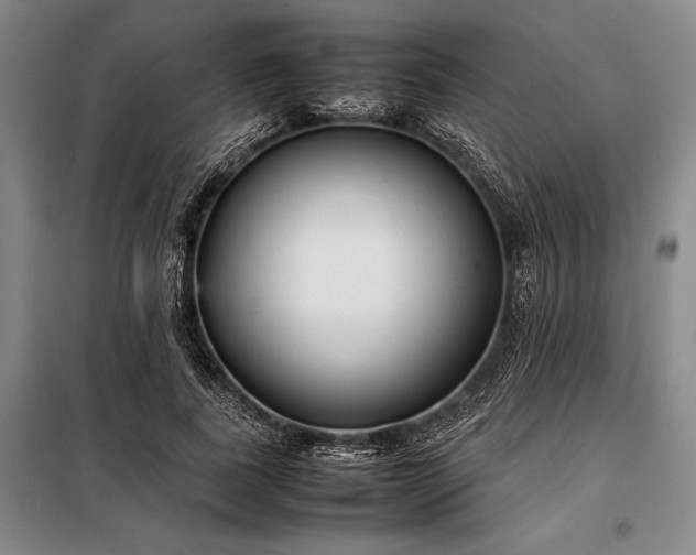 X0000098190739200805011123