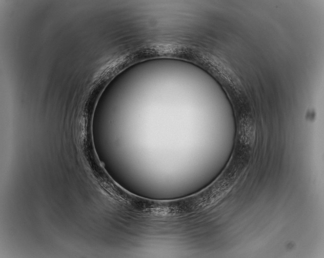 X0000098190740200805011123