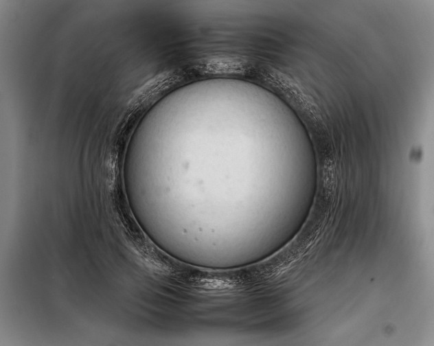 X0000098190741200805011123