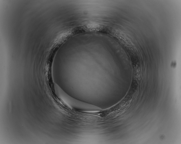 X0000098190742200805011123