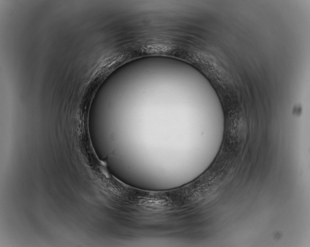 X0000098190743200805011123