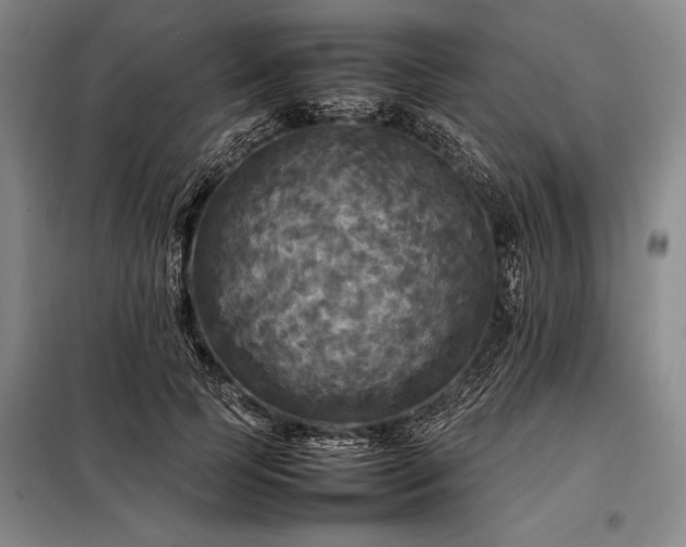 X0000098190745200805011123