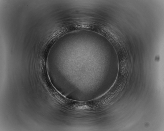 X0000098190747200805011123