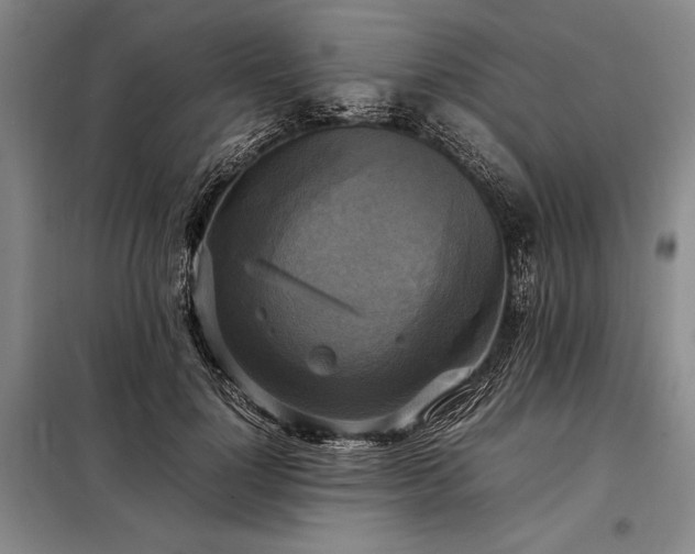 X0000098190748200805011123