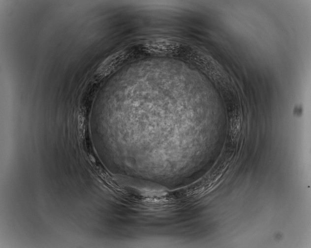 X0000098190749200805011123