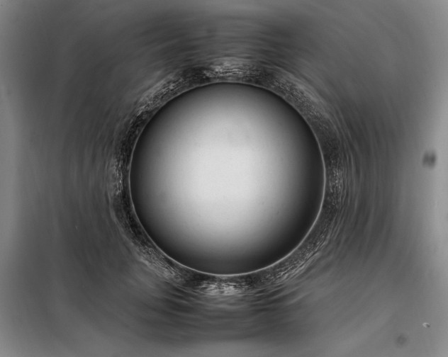 X0000098190751200805011123