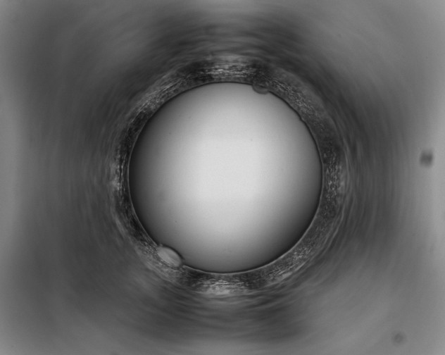 X0000098190755200805011123
