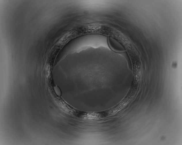 X0000098190758200805011123