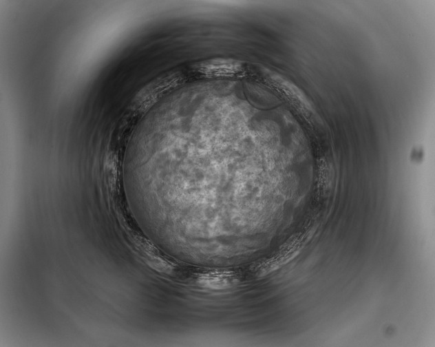 X0000098190761200805011123