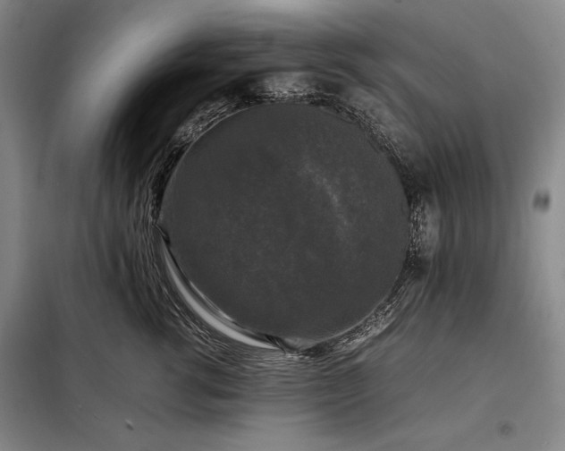 X0000098190762200805011123