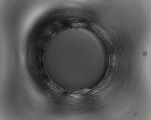 X0000098190763200805011123