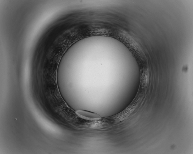 X0000098190764200805011123