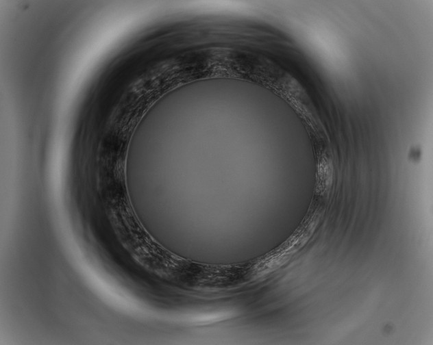 X0000098190765200805011123