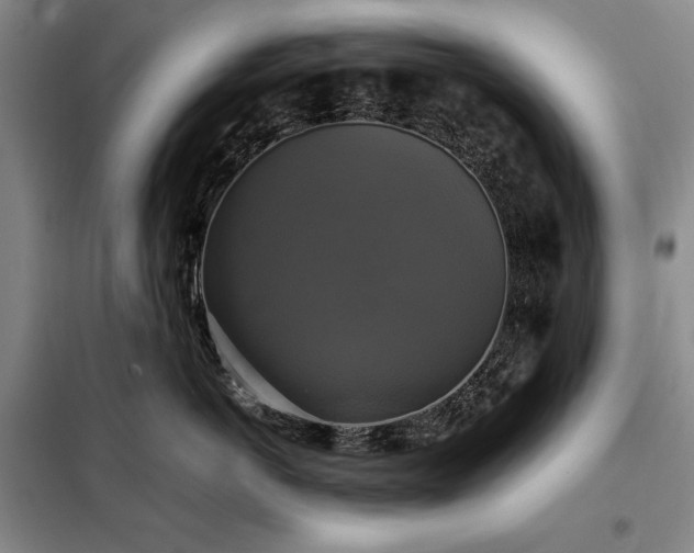 X0000098190766200805011123