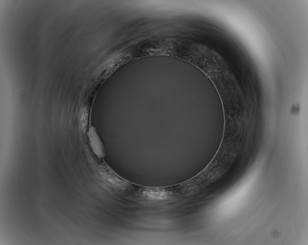 X0000098190767200805011123
