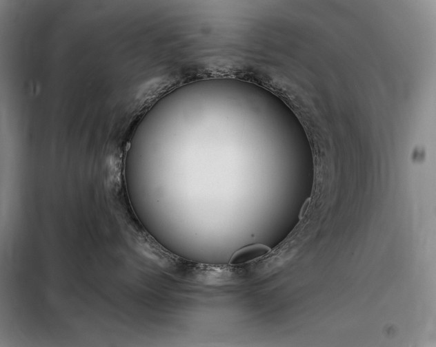 X0000098190768200805011123