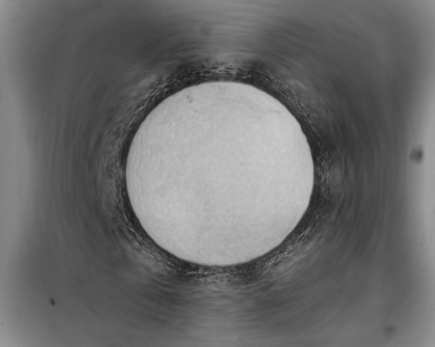 X0000098190769200805011122