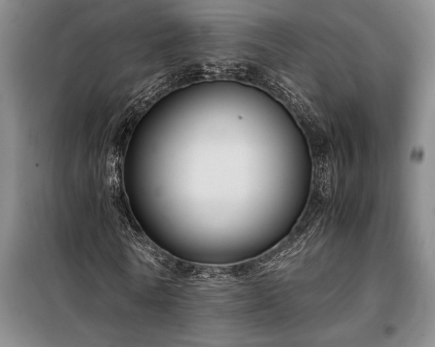 X0000098190770200805011122