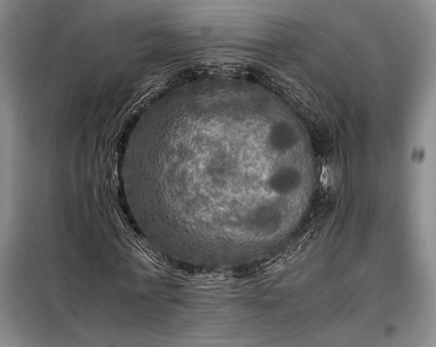 X0000098190771200805011122