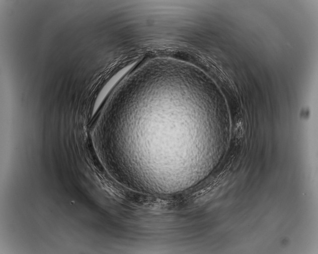 X0000098190772200805011122