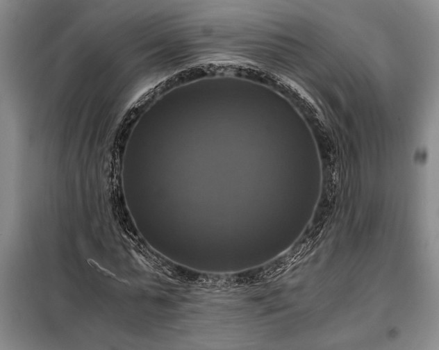 X0000098190775200805011122