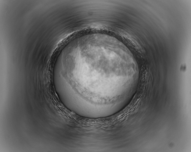 X0000098190776200805011122