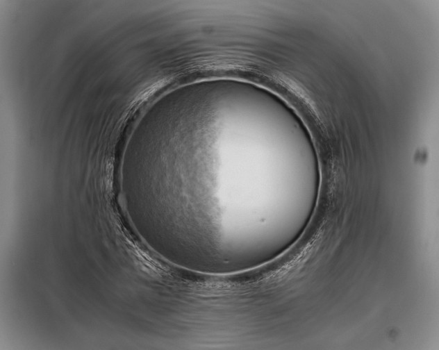 X0000098190777200805011122