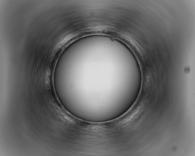 X0000098190778200805011122