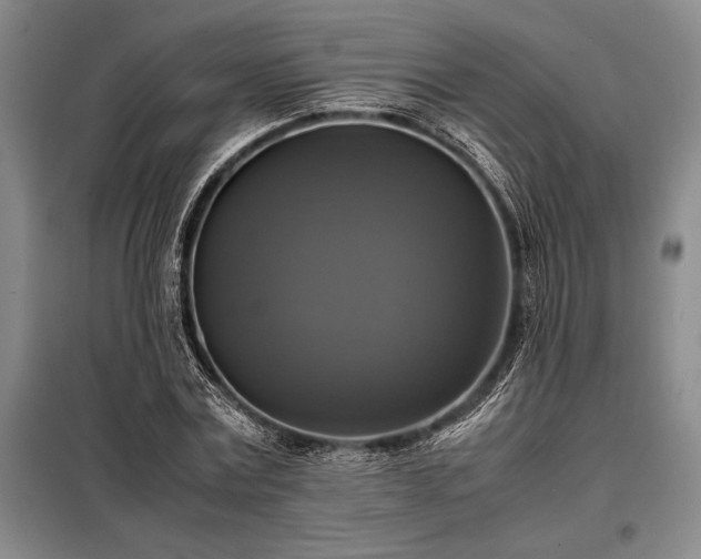 X0000098190779200805011122
