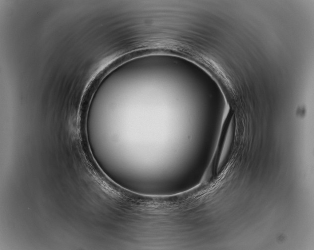 X0000098190780200805011122