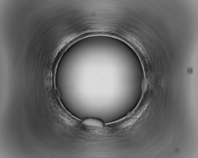X0000098190781200805011122