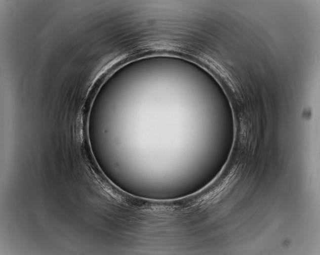 X0000098190782200805011122