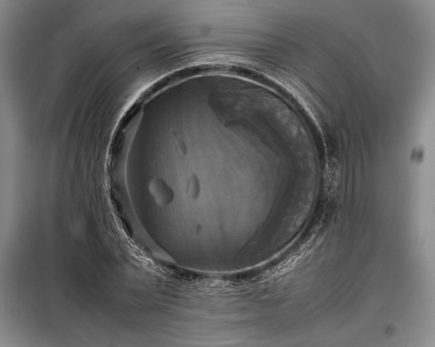 X0000098190783200805011122