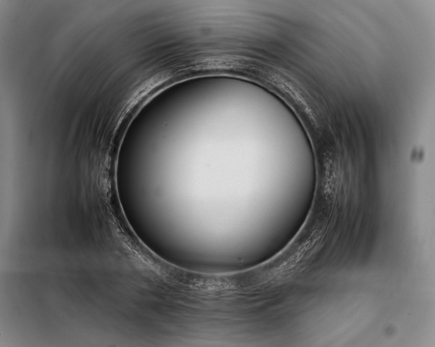 X0000098190786200805011122