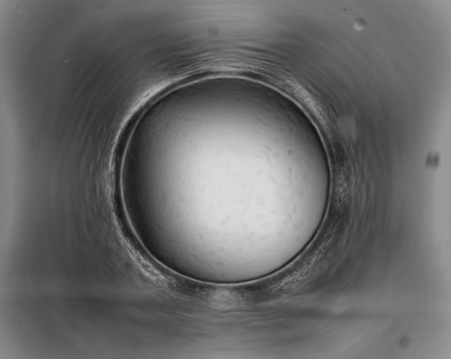 X0000098190787200805011122