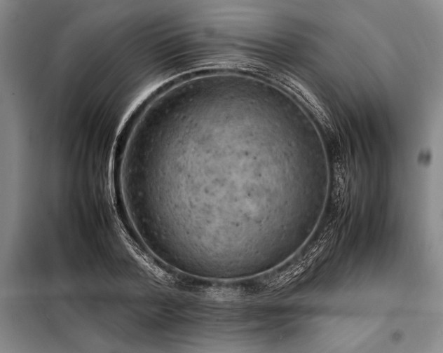 X0000098190788200805011122