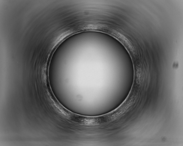 X0000098190794200805011122