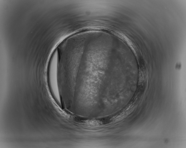 X0000098190795200805011122