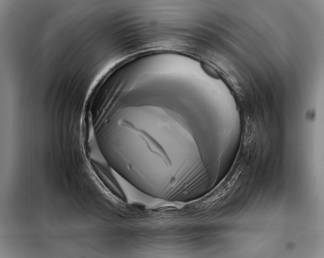 X0000098190796200805011122