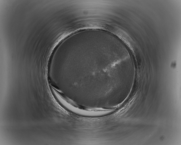 X0000098190797200805011122