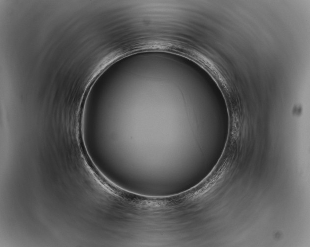 X0000098190802200805011122