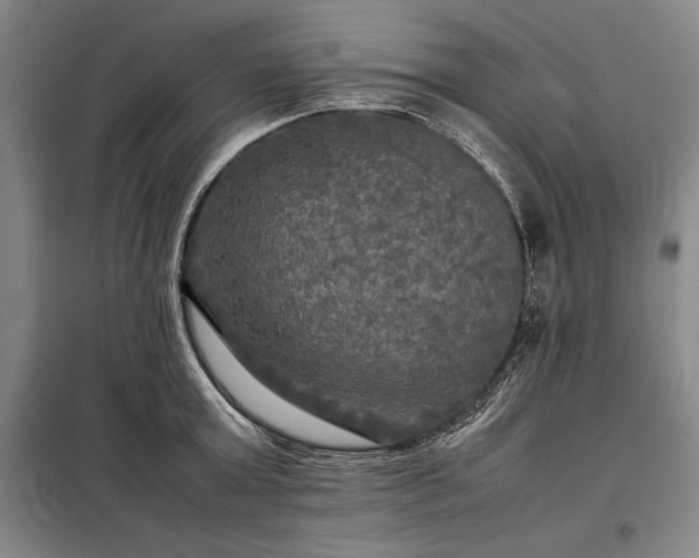 X0000098190803200805011122