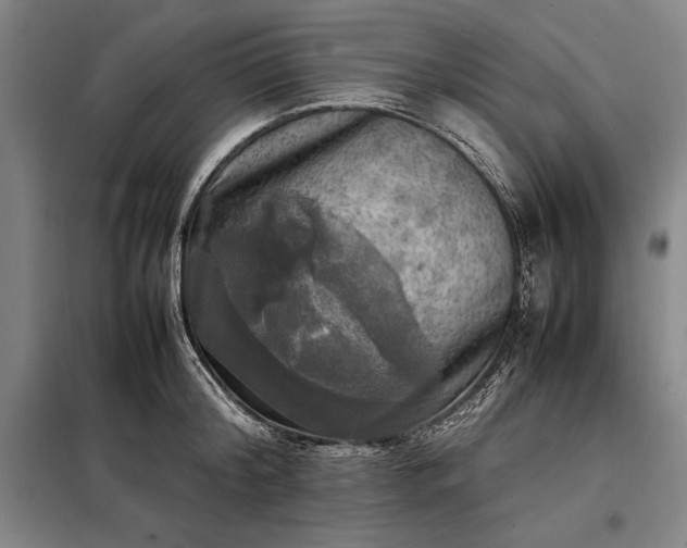 X0000098190804200805011122