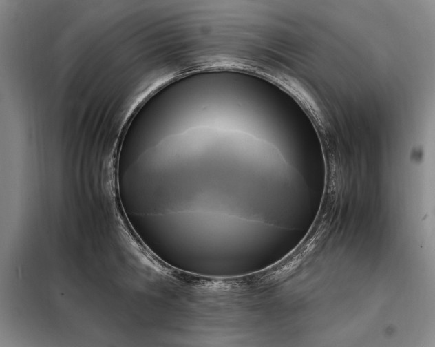 X0000098190806200805011122