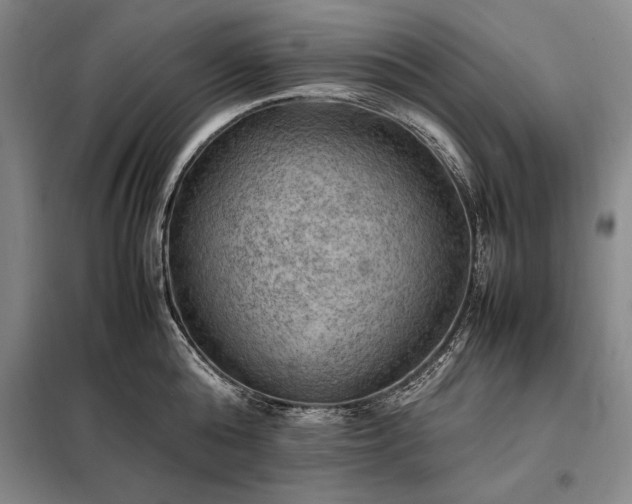 X0000098190808200805011122