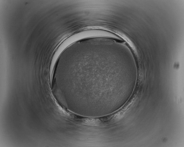 X0000098190809200805011122