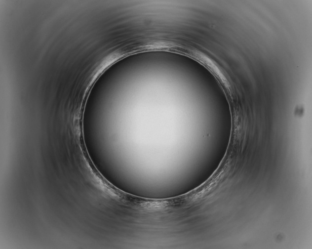 X0000098190810200805011122