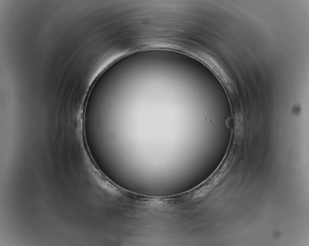 X0000098190814200805011122