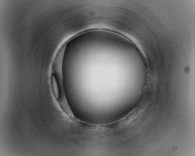 X0000098190815200805011122