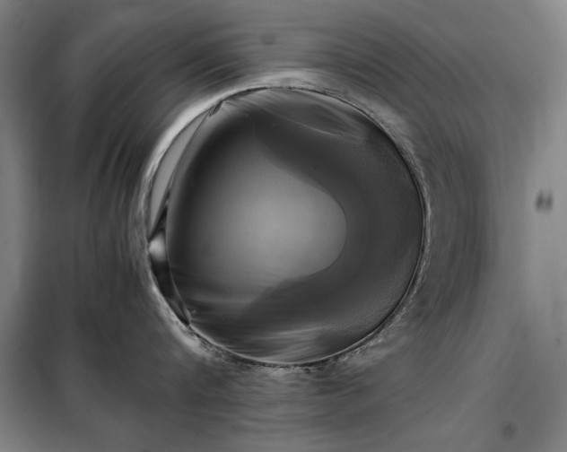 X0000098190816200805011122